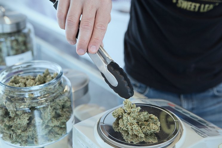 PA medical marijuana growers can sell directly to patients PA medical marijuana growers can sell directly to patients