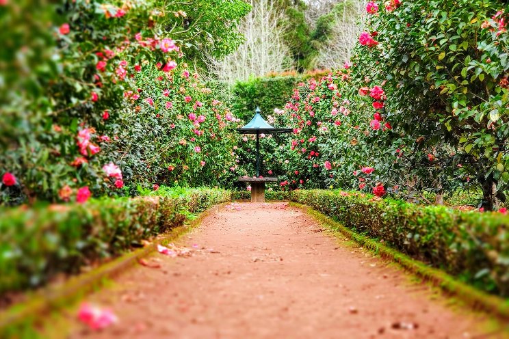 The most beautiful botanical gardens in the world