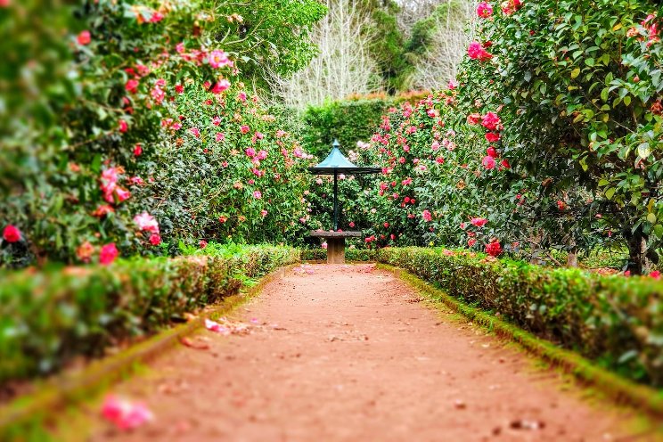 The most beautiful botanical gardens in the world The most beautiful botanical gardens in the world