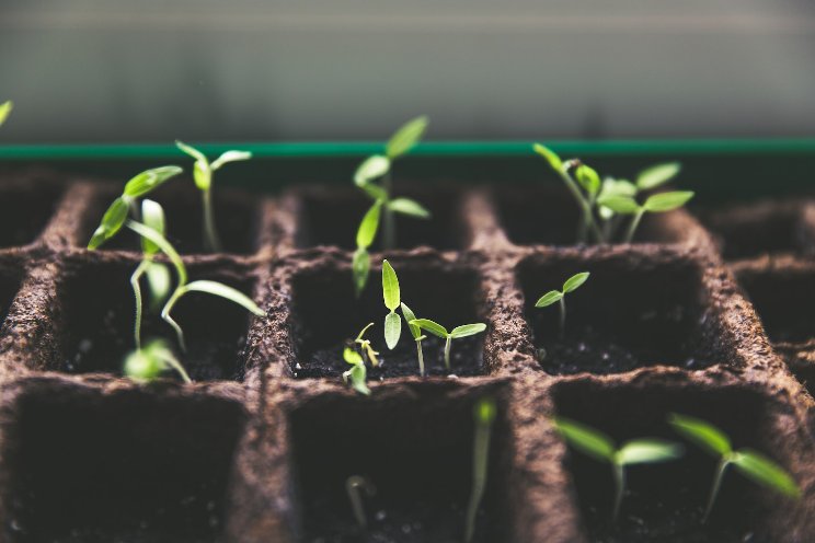 Changes in Tozer Seeds UK Sales Team Changes in Tozer Seeds UK Sales Team