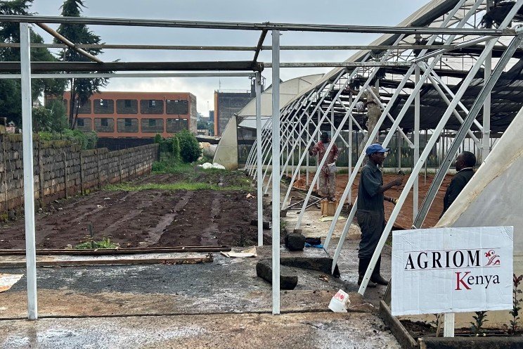 Agriom starts its own selection garden in Limuru, Kenya