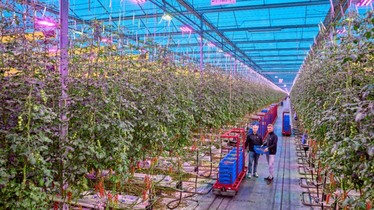 Philips GreenPower LED toplighting force makes debut in The U.S. Philips GreenPower LED toplighting force makes debut in The U.S.