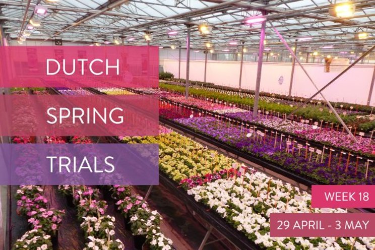 Dutch Spring Trials take place in week 18