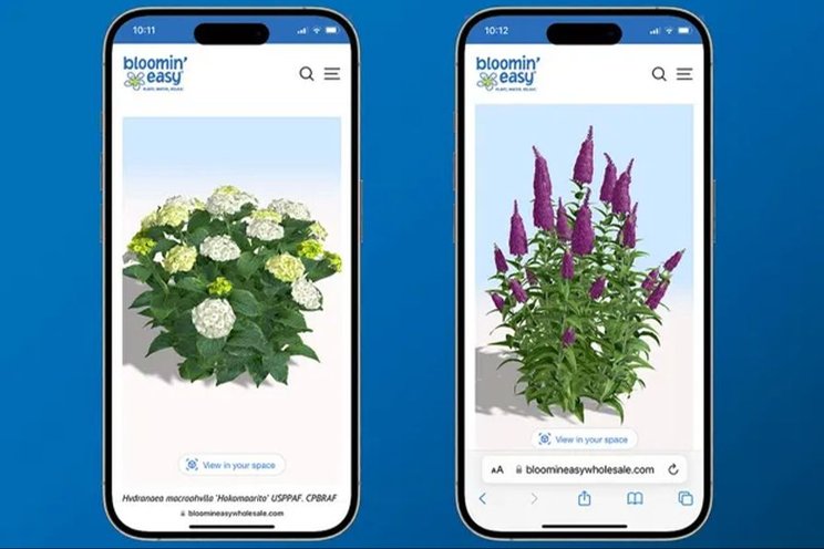 Bloomin' Easy gives plant lovers augmented reality experience