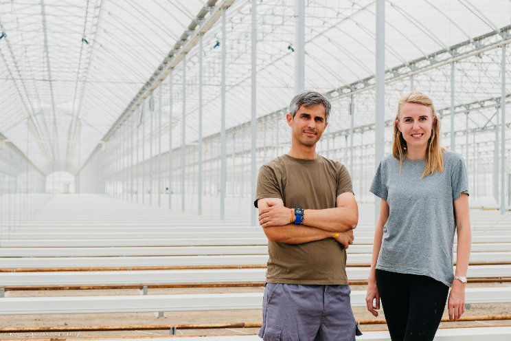 The greatest greenhouse built in Spain in one unit