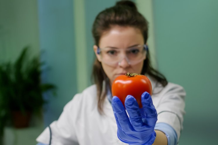 Digitalization revolutionizes tomato research