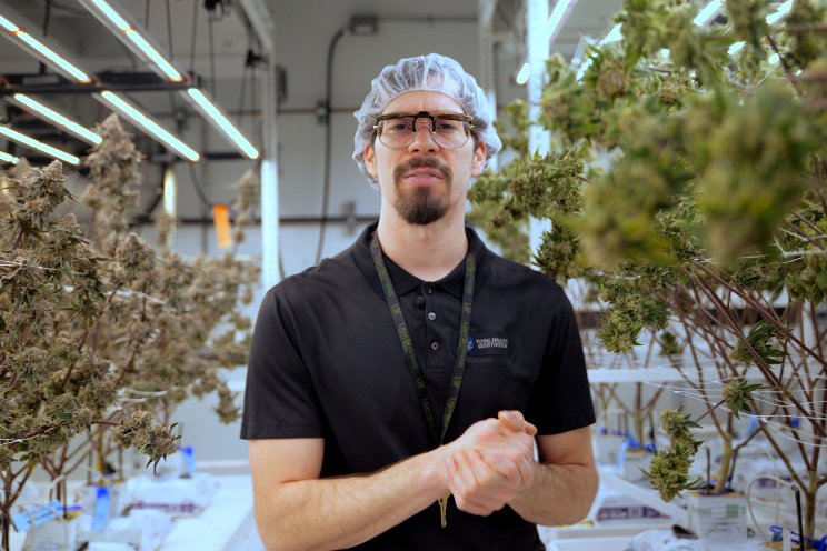 Award-winning cultivator LightSky Farms collaborates with Fluence Award-winning cultivator LightSky Farms collaborates with Fluence