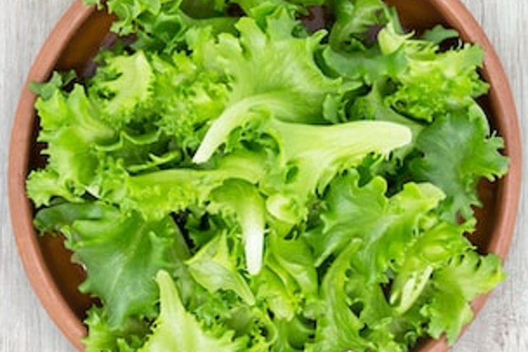 Does wild lettuce provide natural pain relief?