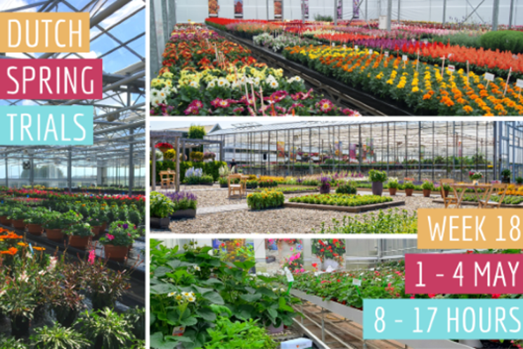Dutch Spring Trials take place in week 18 Dutch Spring Trials take place in week 18