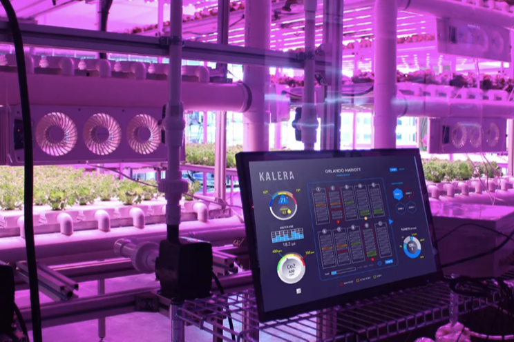 Kalera closes public offering raising USD 8.84M Kalera closes public offering raising USD 8.84M