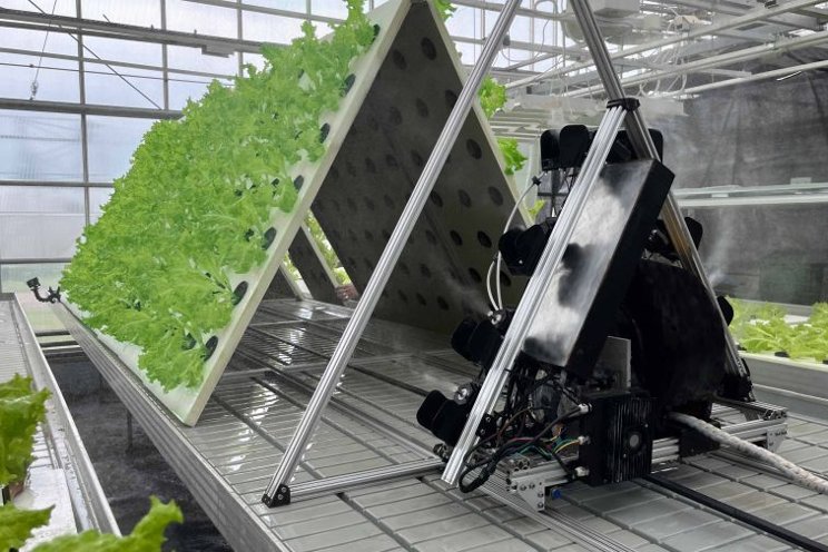 New leafy greens cultivation platform coming soon