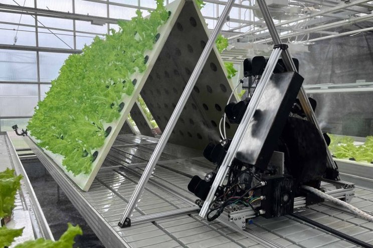 New leafy greens cultivation platform coming soon New leafy greens cultivation platform coming soon
