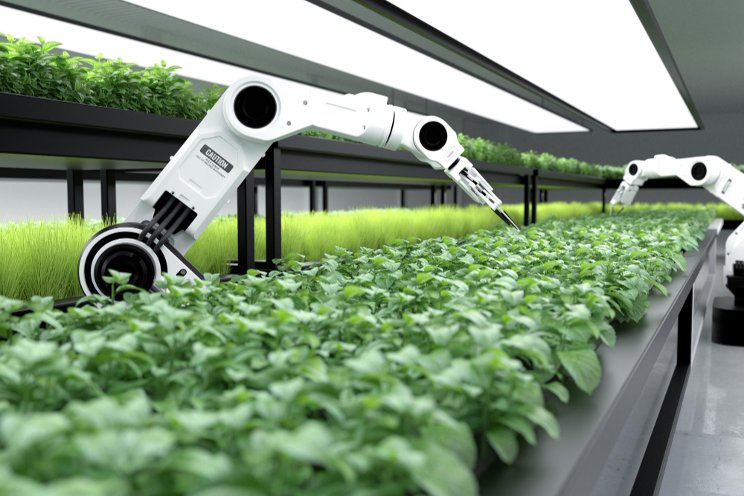 Robots help pick strawberries in California