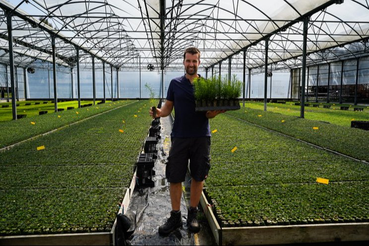 Conifer propagation nursery celebrates 15 years