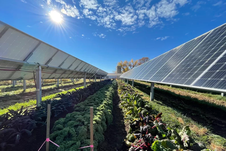 How can renewable energy improve CEA's carbon footprint? How can renewable energy improve CEA's carbon footprint?