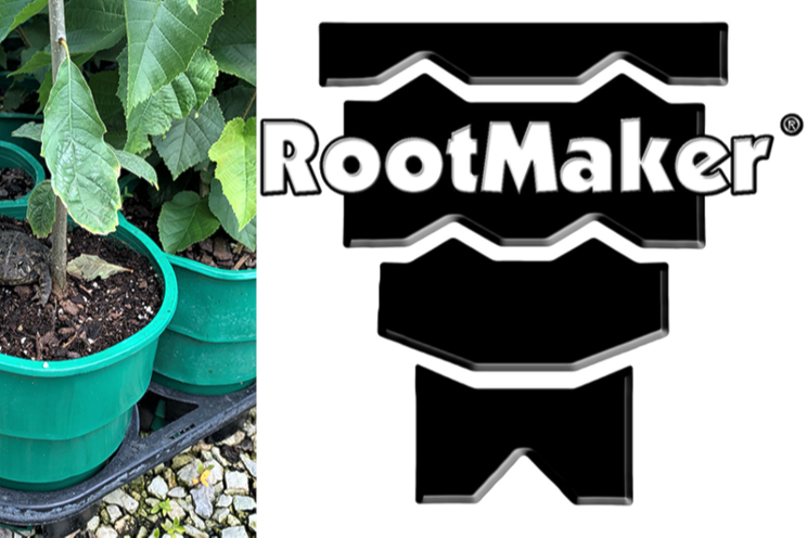 RootMaker launches green container
