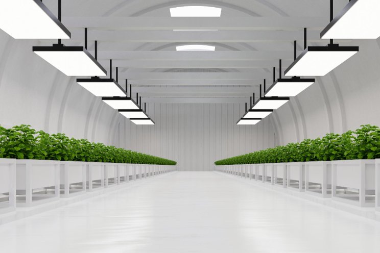 From vertical farming to hydrogen powered tractors From vertical farming to hydrogen powered tractors
