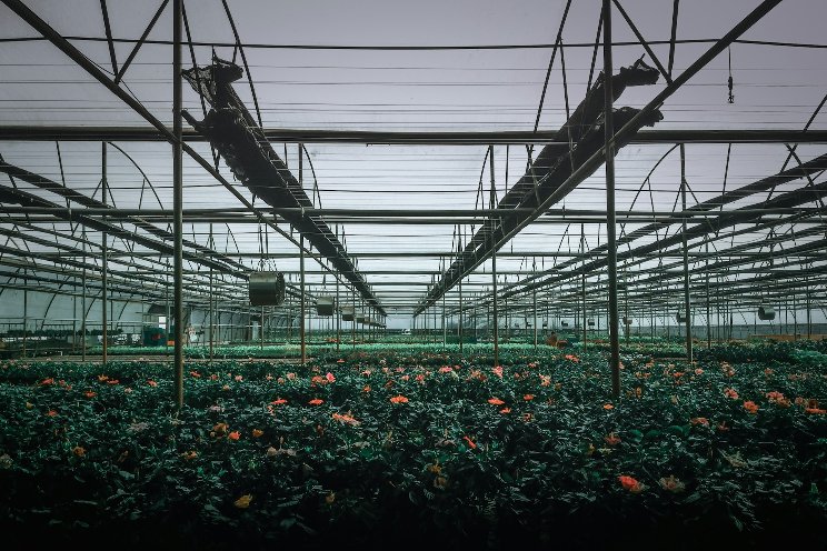 Ontario greenhouse growers facing increased water use charges