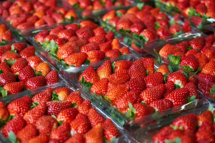 Every aspect of organic strawberry production considered