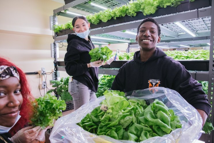Hydroponics help urban schools grow food year-round