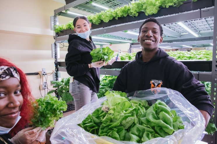 Hydroponics help urban schools grow food year-round Hydroponics help urban schools grow food year-round