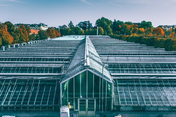 Growing crops under solar panels provide food and energy