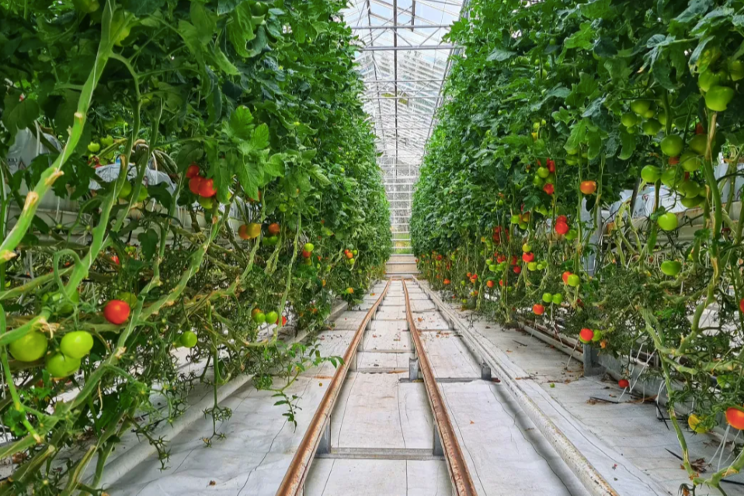 Farmers' willingness to invest in AgTech Farmers' willingness to invest in AgTech