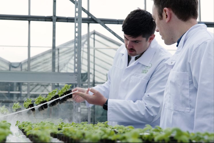LettUs Grow to scale benefits of aeroponics worldwide