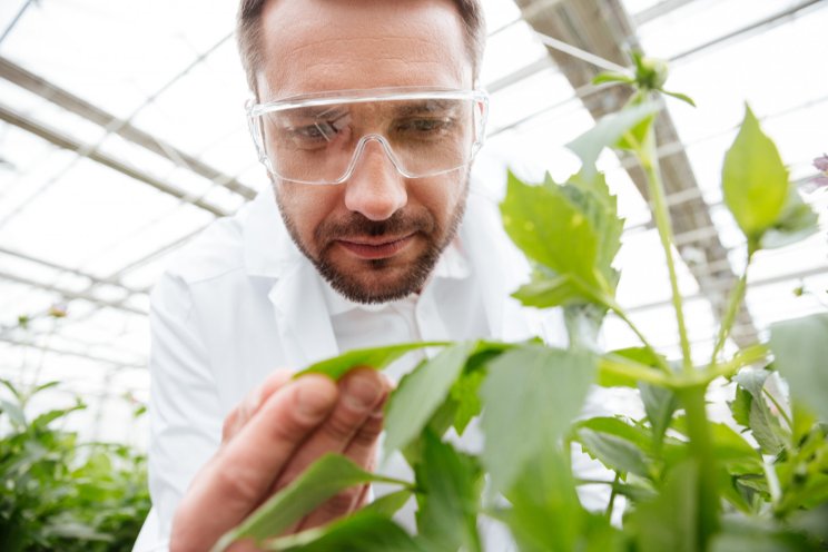 Ontario funds 47 agri-food research projects