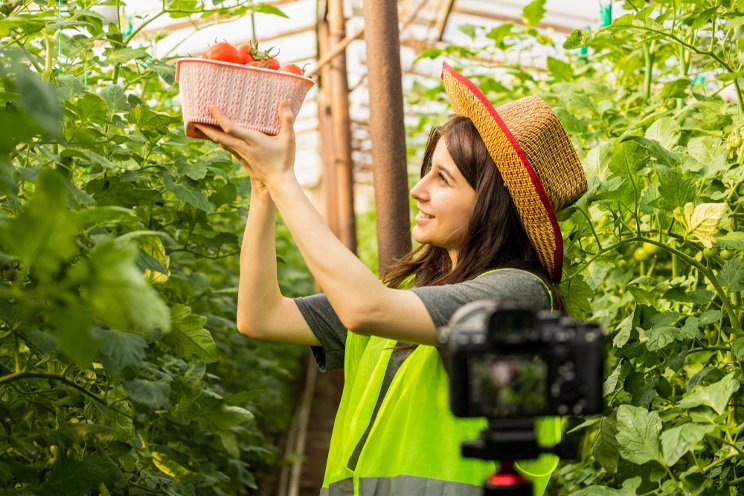 'Agri-influencers' drive growth in Senegal's agriculture sector 'Agri-influencers' drive growth in Senegal's agriculture sector