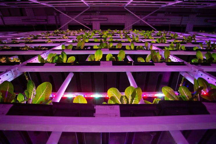 Could vertical farms help fill unwanted office space?