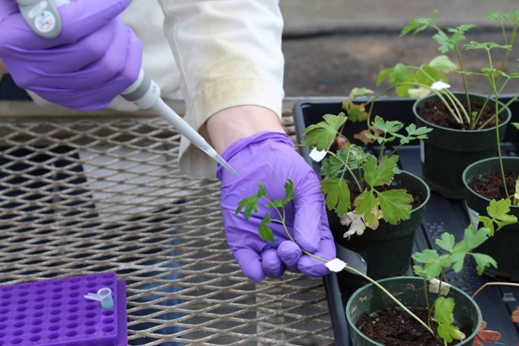 The nanotechnological methods for improving agriculture The nanotechnological methods for improving agriculture