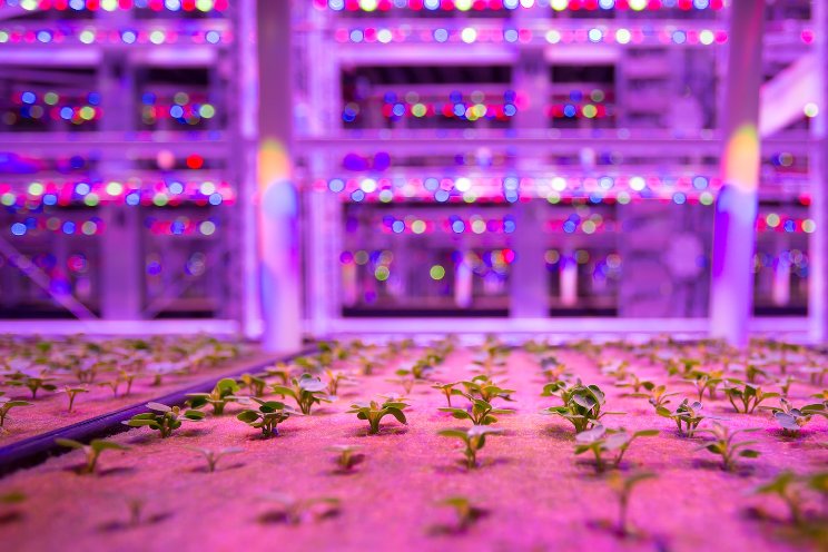 Can micro LEDs help reverse things? Can micro LEDs help reverse things?