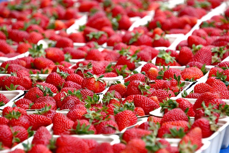 Brazil recycles 94% of crop protection packaging Brazil recycles 94% of crop protection packaging