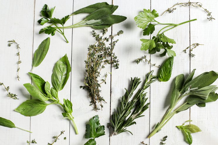 Ways Suståne improves culinary herb production
Ways Suståne improves culinary herb production