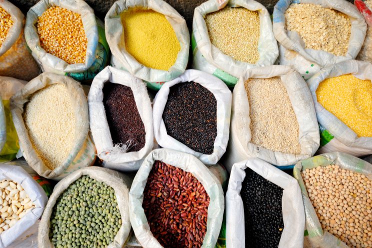Taking the pulse Of CEA protein farming Taking the pulse Of CEA protein farming