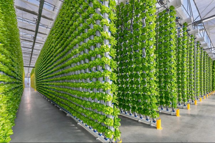 5 things to consider while starting your vertical farm or greenhouse