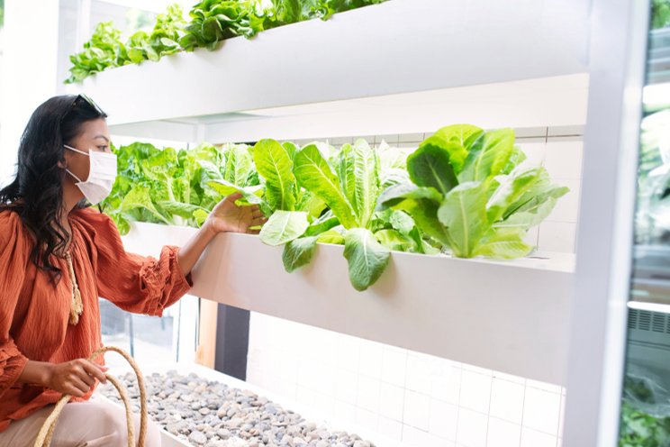 How vertical farming is shaping future of food production