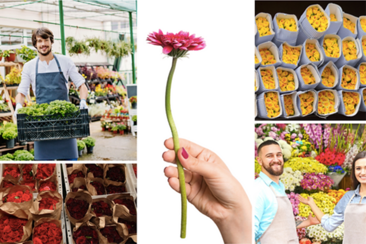 FPC Fresh Awards 2023 – ‘Say it With Flowers’ FPC Fresh Awards 2023 – ‘Say it With Flowers’