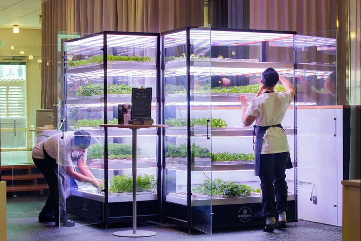 Revolutionizing farming with innovative small-scale VF system