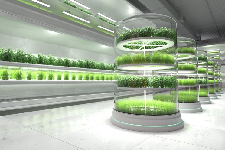 Vertical growing systems – the next big farm diversification?
