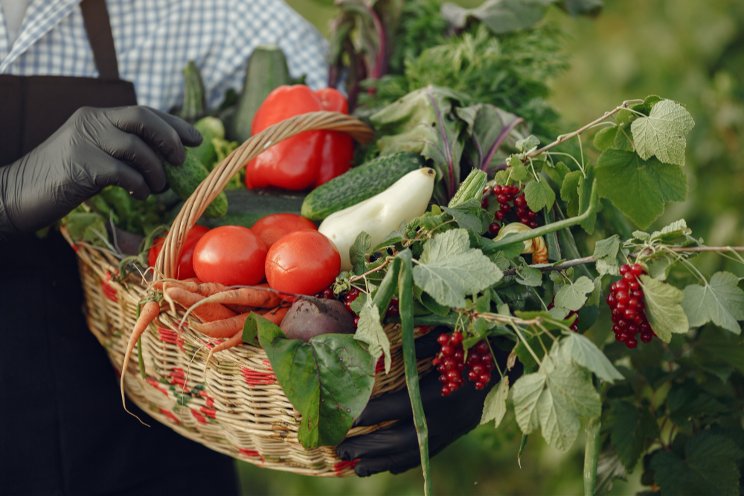 Charity urges help for farmers to donate surplus crops