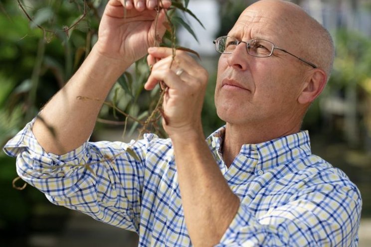 Best practices when using biocontrols in CEA Best practices when using biocontrols in CEA