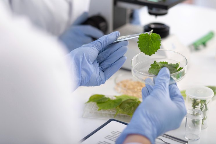 12 horti research projects receiving AFE funding 12 horti research projects receiving AFE funding