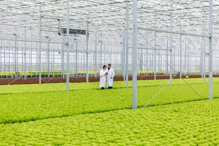 Passion is driving today’s horticuture industry Passion is driving today’s horticuture industry