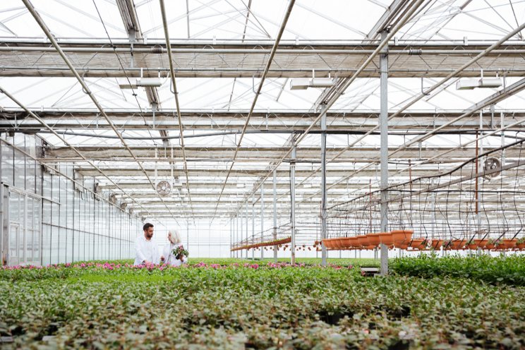 Effective greenhouse business forecasting