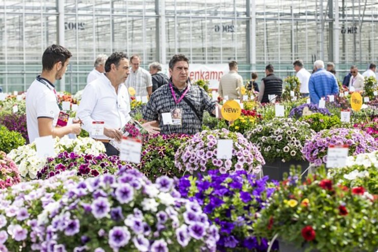 FlowerTrials: the must-visit show on your agenda FlowerTrials: the must-visit show on your agenda