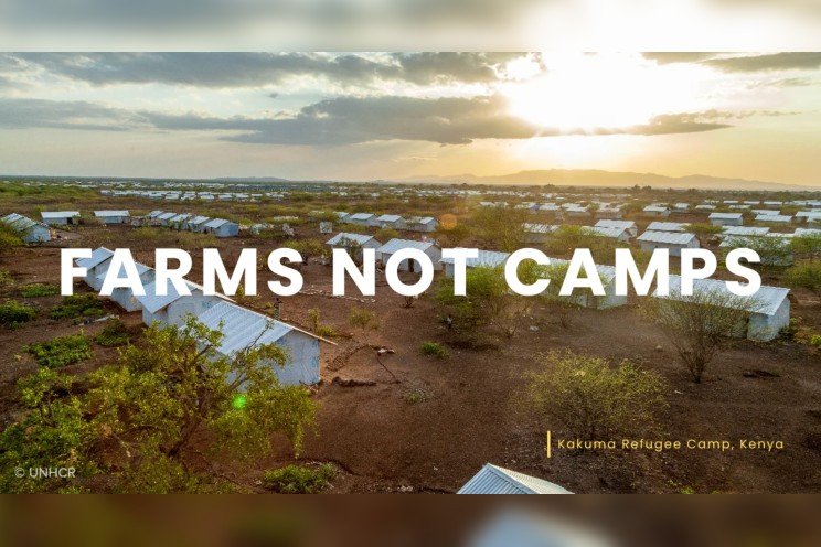 How Kakuma's AgriHope Initiative is planting seeds of dignity How Kakuma's AgriHope Initiative is planting seeds of dignity