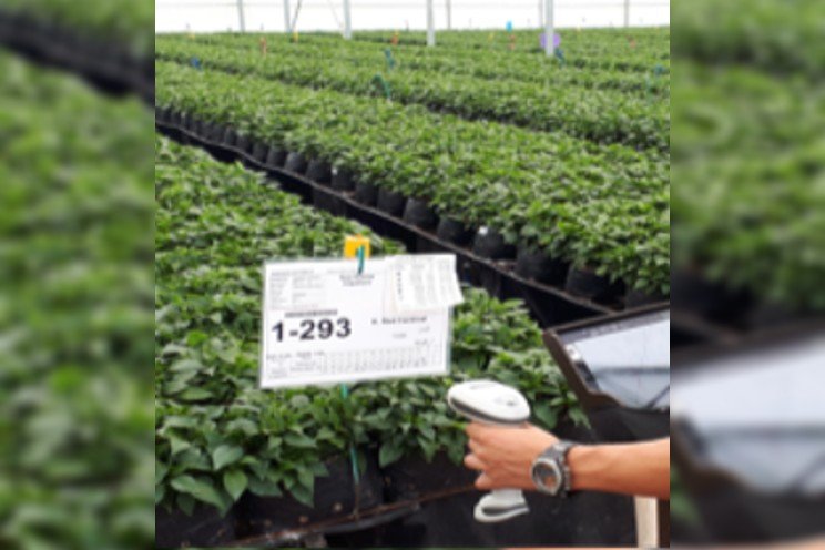 Danziger in tune with grower’s changing needs