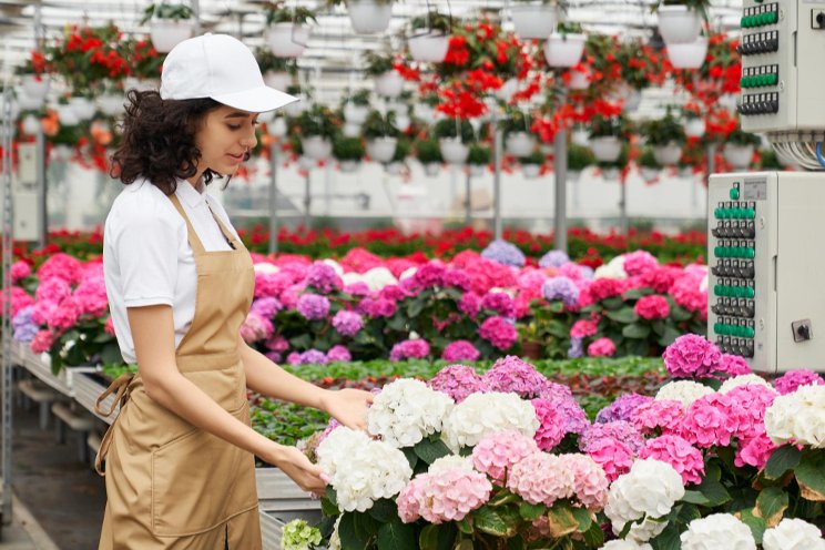 Monrovia Nursery joins ThinkPlants perennial breeder network